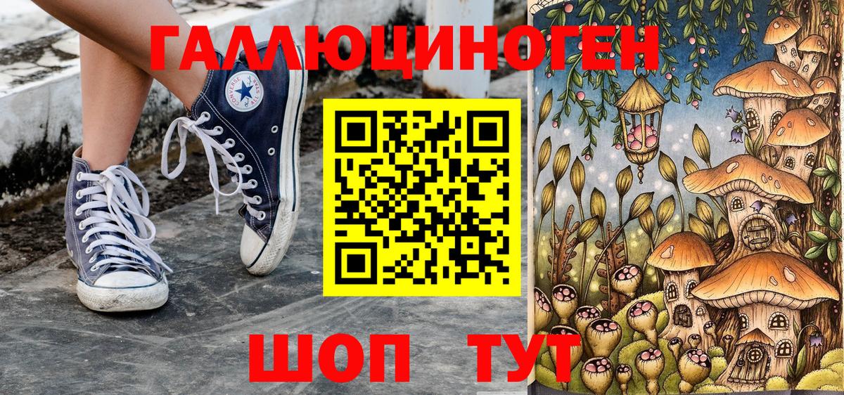 Галлюциногенные грибы Psilocybe Пенза