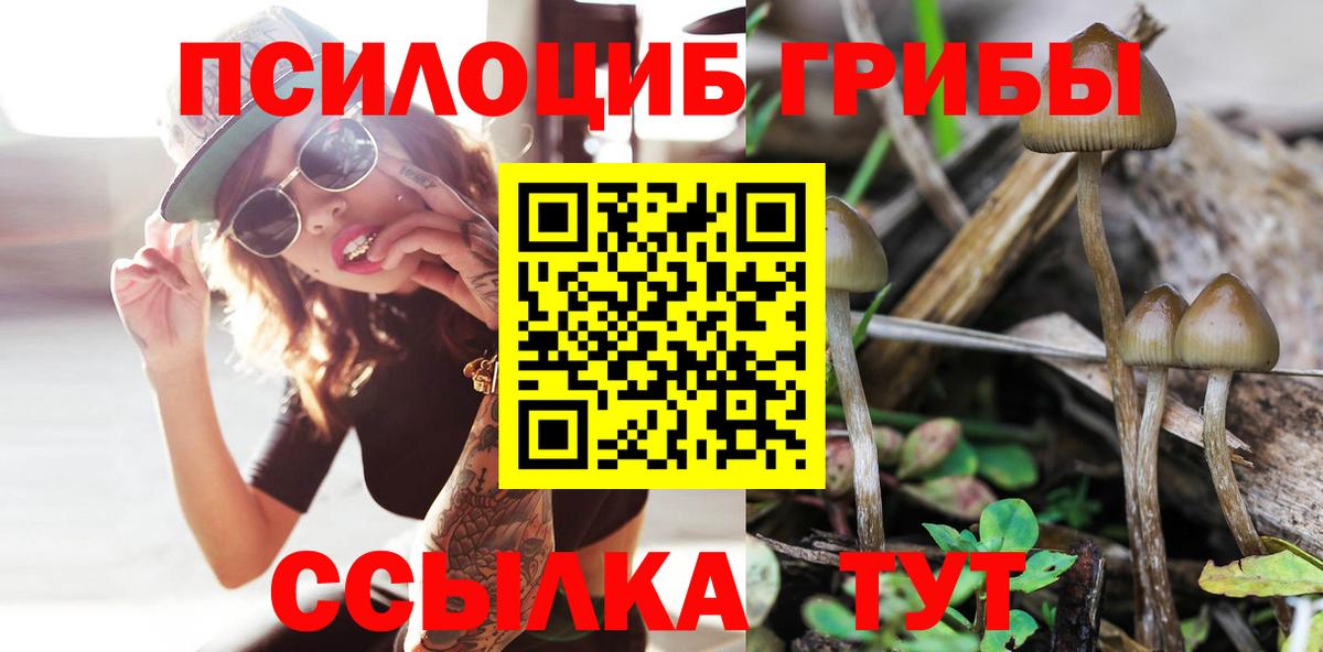 Пенза  Галлюциногенные грибы мицелий  Вход с VPN  Галлюциногенные грибы GOLDEN TEACHER 